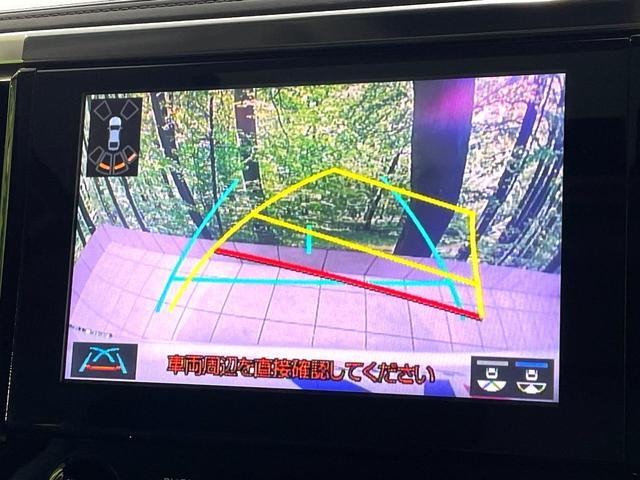 24625477_carP_l_13.jpg