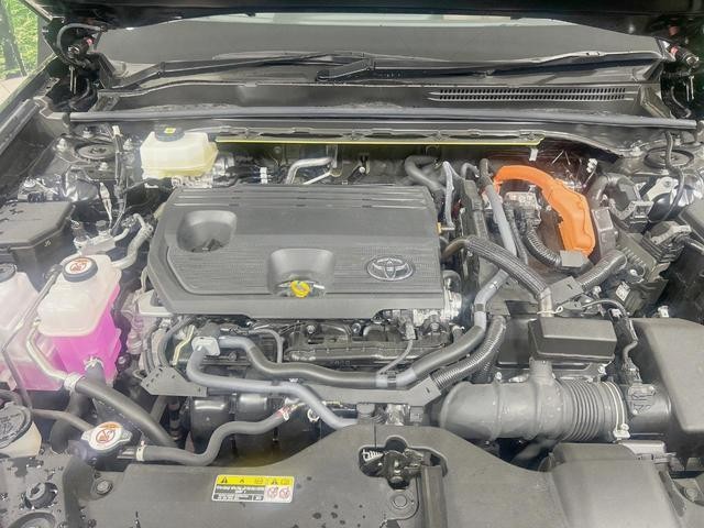 26251987_carP_l_16.jpg