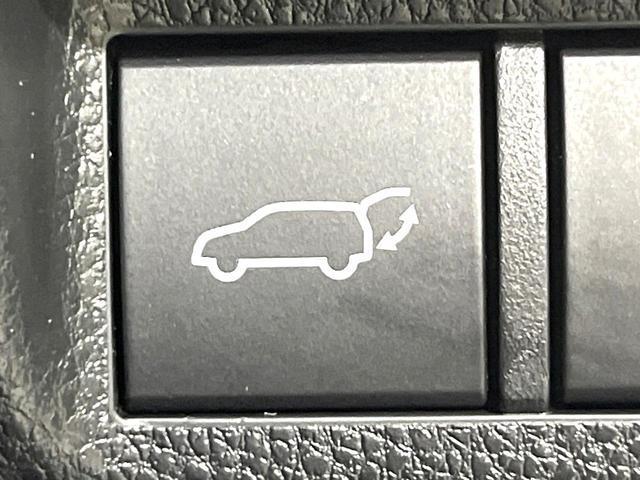 24828416_carP_l_17.jpg