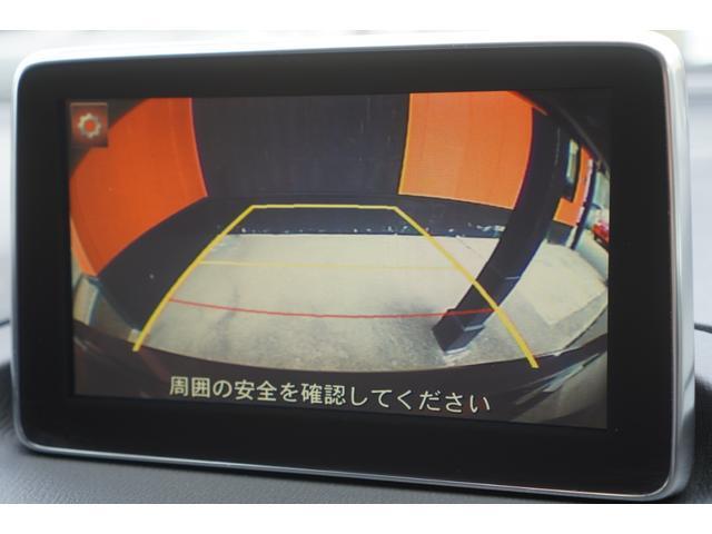 24864545_carP_l_12.jpg
