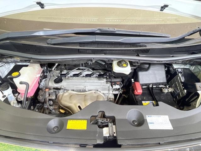 26794147_carP_l_16.jpg
