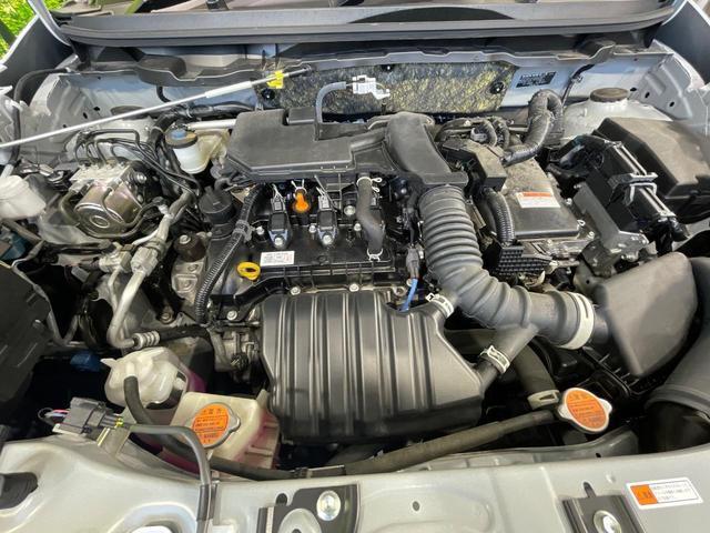 24582309_carP_l_16.jpg