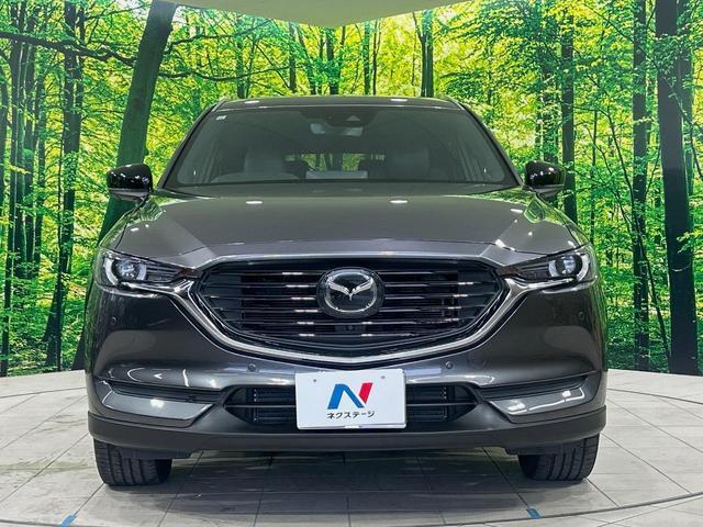 24219476_carP_l_9.jpg