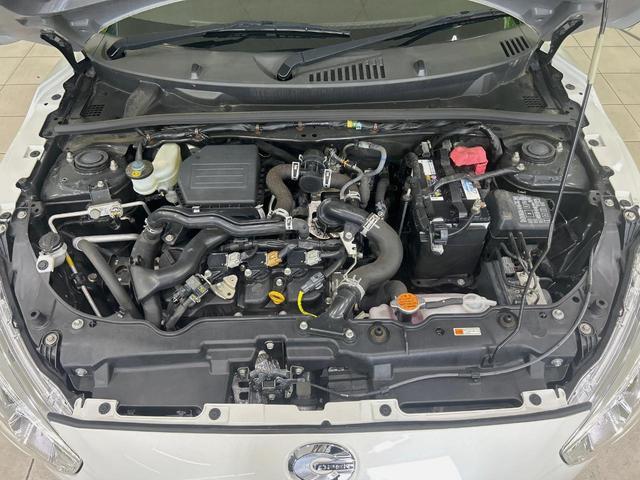 24219481_carP_l_11.jpg