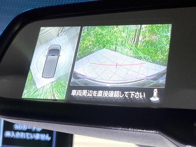 24300189_carP_l_4.jpg