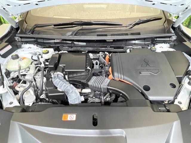26794151_carP_l_16.jpg
