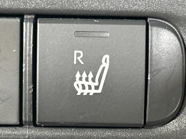 24995221_carP_l_14.jpg