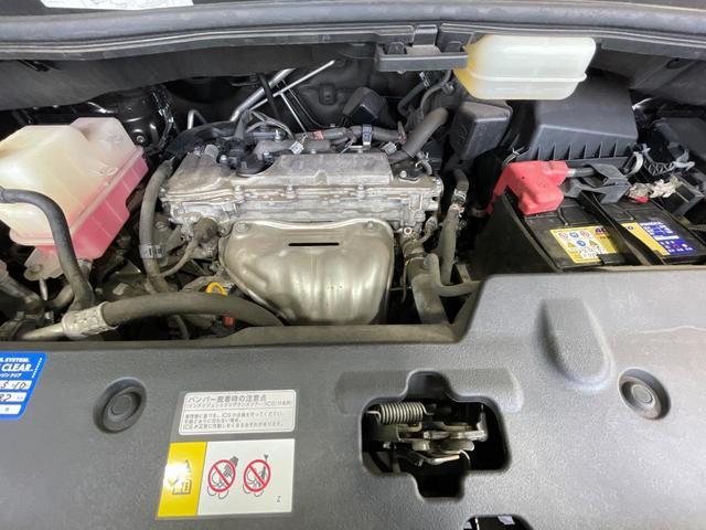 24582318_carP_l_18.jpg