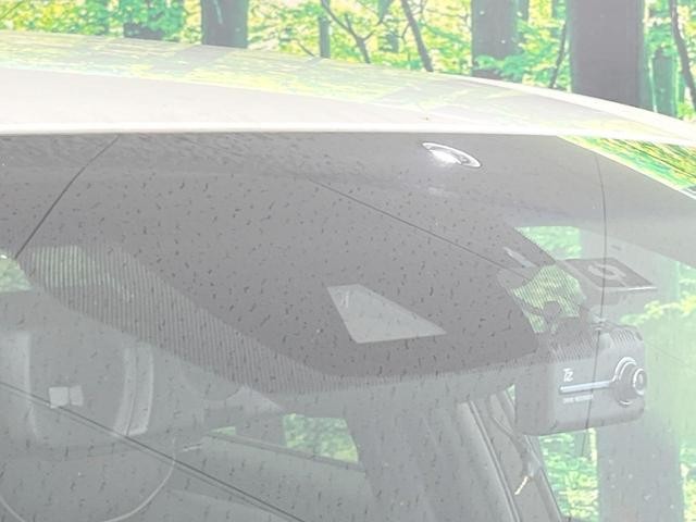 25138222_carP_l_10.jpg