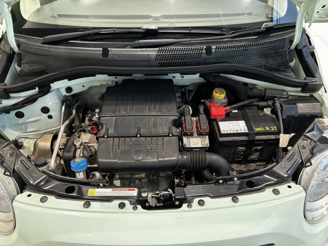 24808630_carP_l_19.jpg