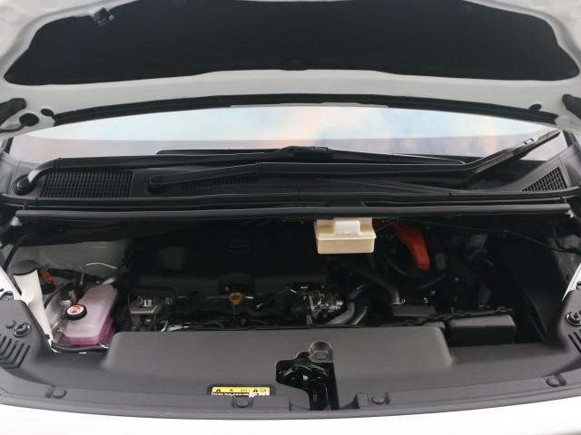 25369539_carP_l_17.jpg