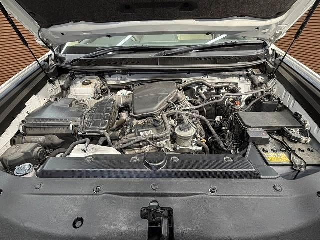 24274311_carP_l_8.jpg