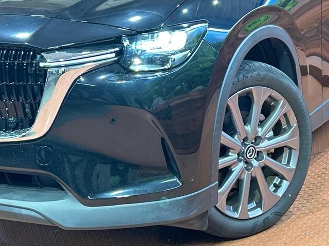 26168881_carP_l_6.jpg