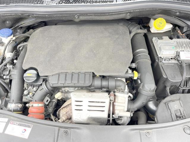 26815840_carP_l_16.jpg