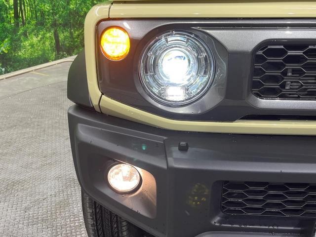 27094521_carP_l_6.jpg