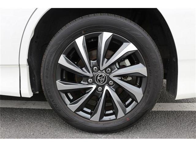 24926781_carP_l_8.jpg