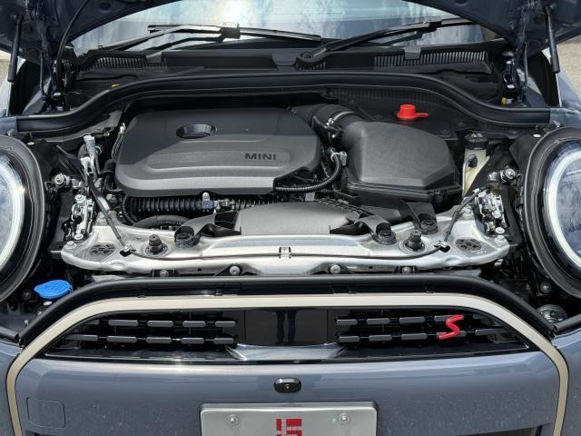 25426088_carP_l_20.jpg