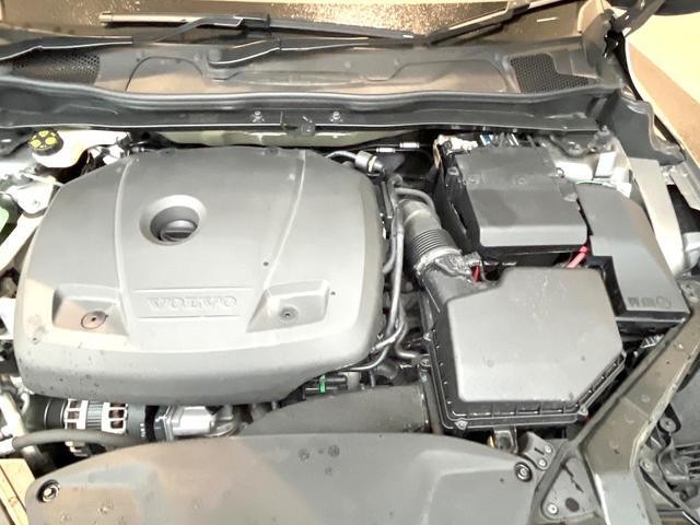 26084967_carP_l_20.jpg