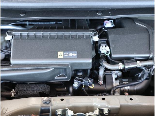24608883_carP_l_16.jpg