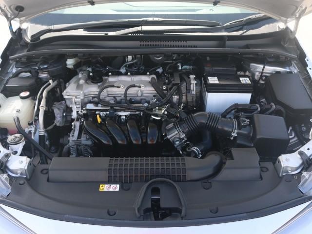26257400_carP_l_17.jpg