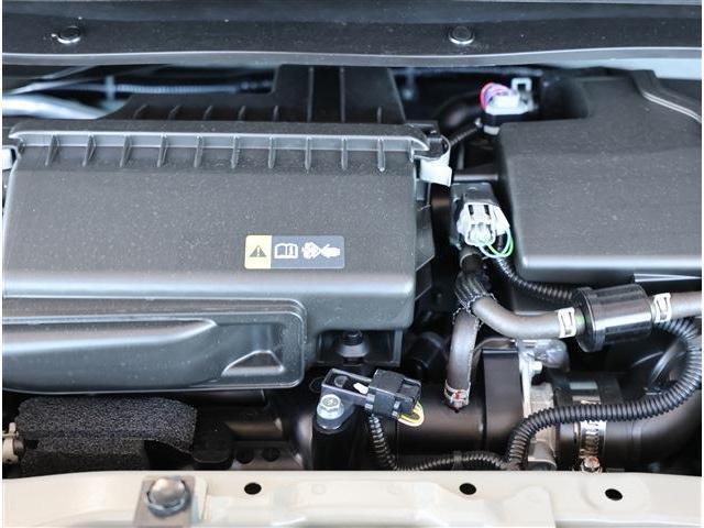 24608884_carP_l_16.jpg