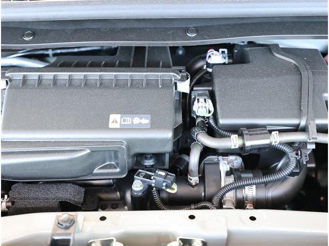 24608885_carP_l_16.jpg