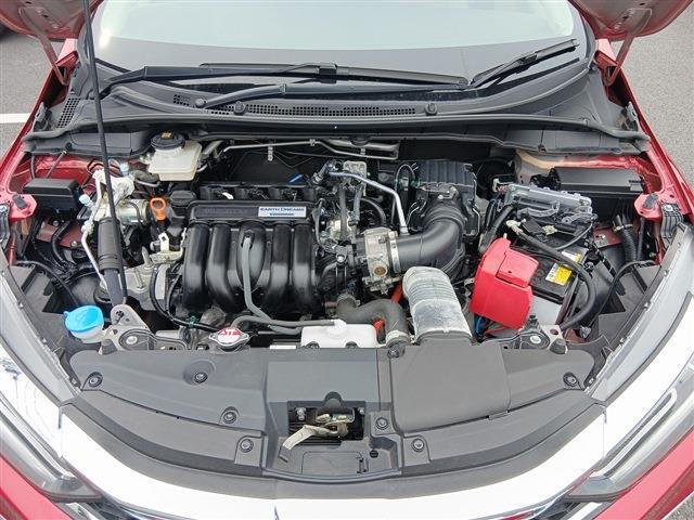 24926793_carP_l_20.jpg