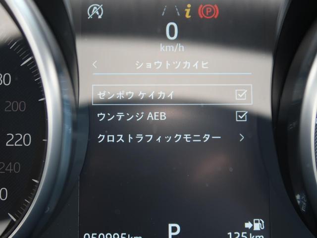 24973997_carP_l_13.jpg