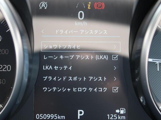 24973997_carP_l_14.jpg
