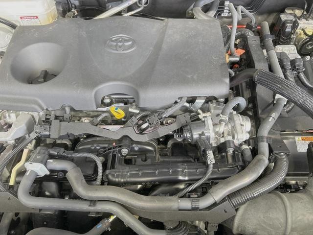 26084983_carP_l_18.jpg