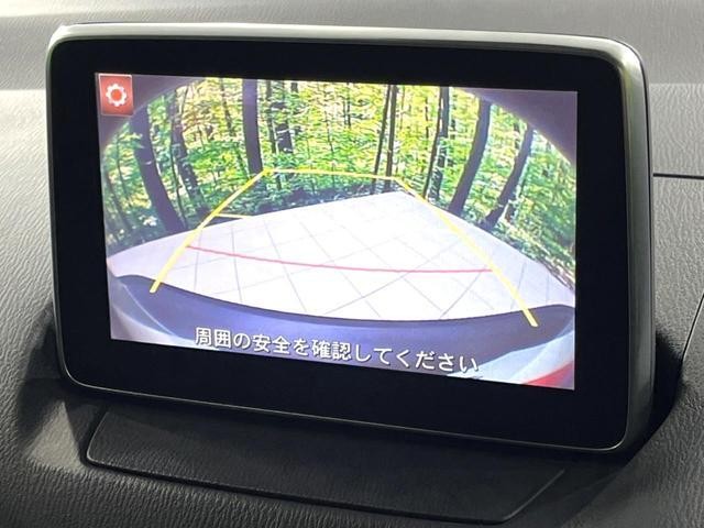 26468894_carP_l_10.jpg