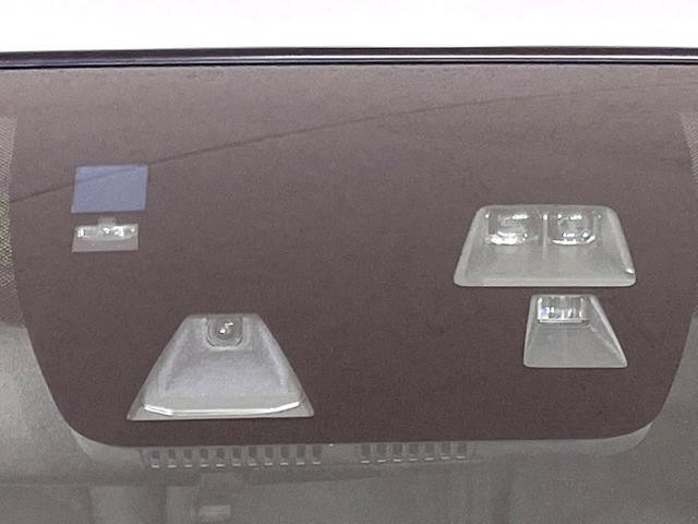 26468894_carP_l_13.jpg