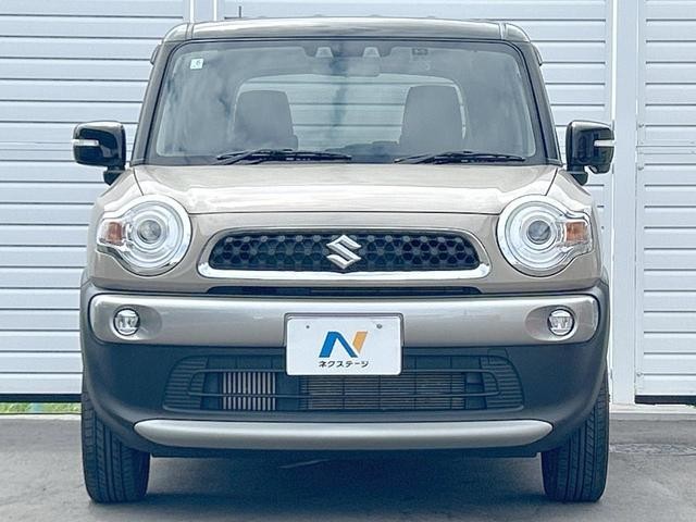 24995285_carP_l_18.jpg
