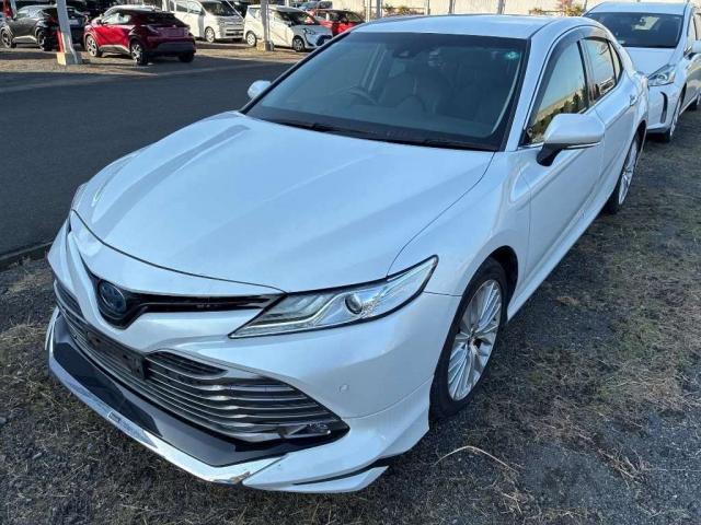 25298077_carP_l_1.jpg
