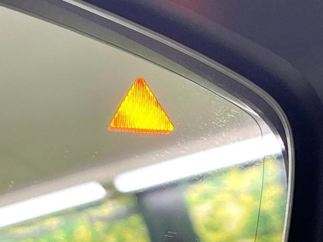 25323628_carP_l_10.jpg