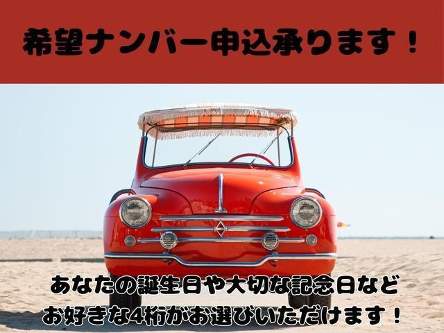 25715124_carP_l_6.jpg
