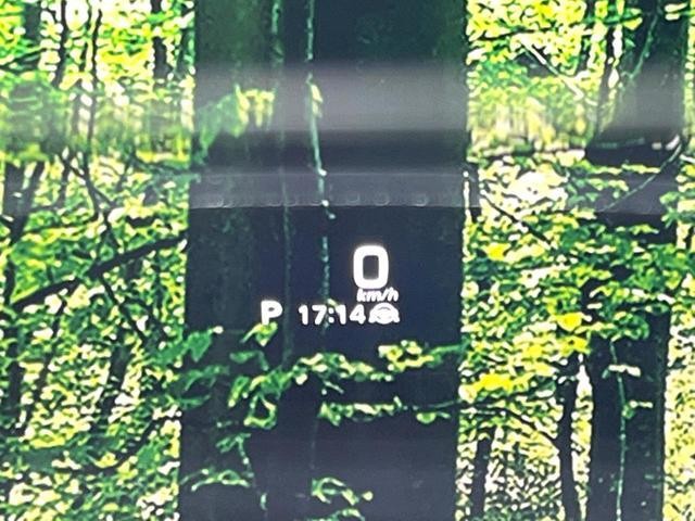 26773945_carP_l_14.jpg
