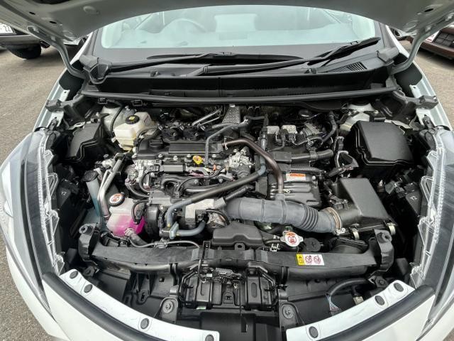 25722695_carP_l_17.jpg
