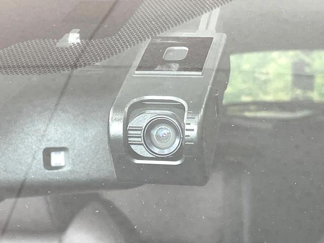 23885231_carP_l_13.jpg