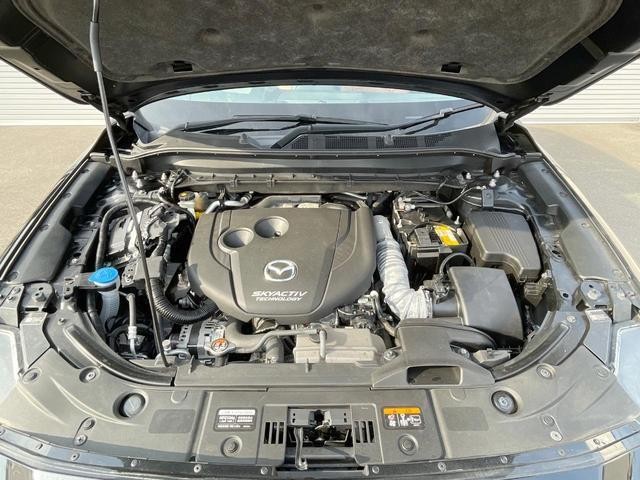 26085065_carP_l_18.jpg