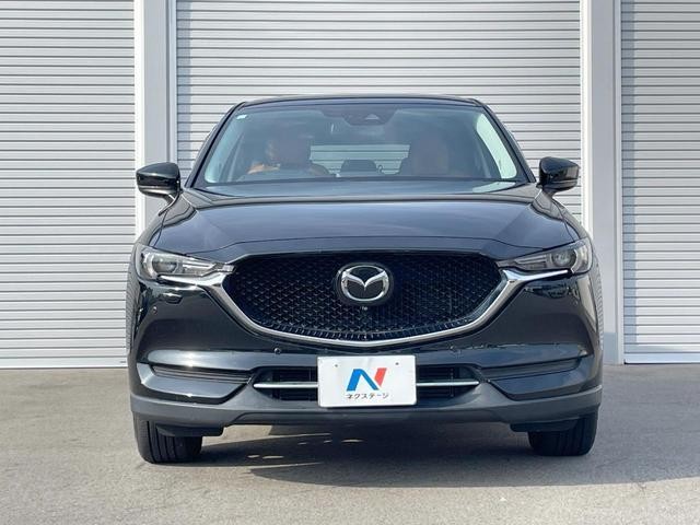 26085065_carP_l_9.jpg