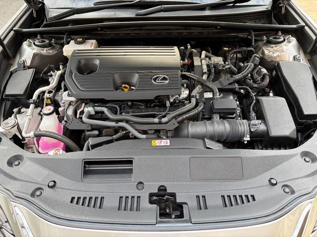 26746246_carP_l_19.jpg