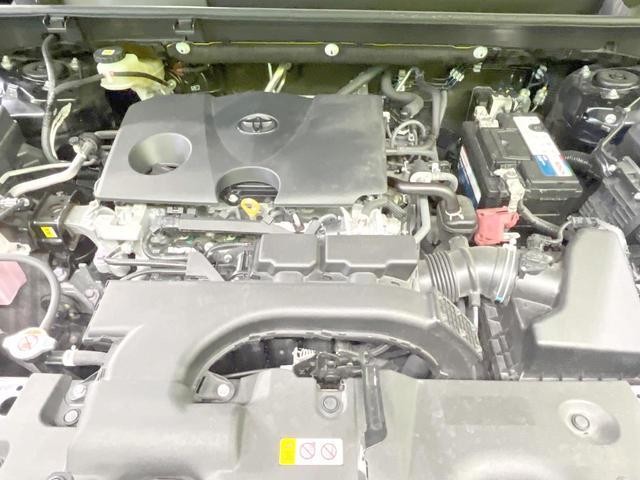 26043670_carP_l_16.jpg