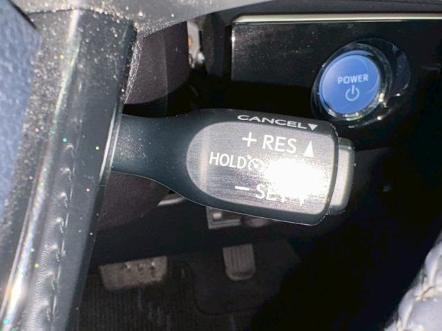 23275968_carP_l_10.jpg