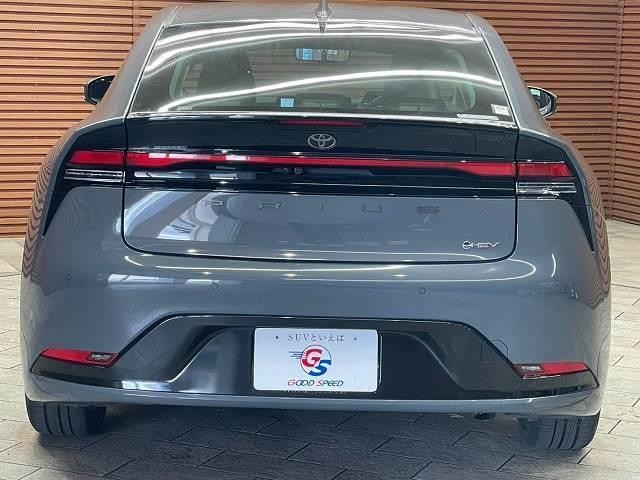 25729041_carP_l_11.jpg