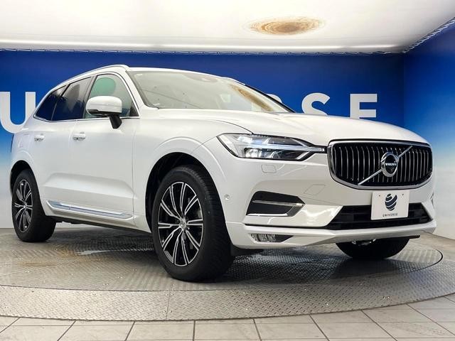 25714454_carP_l_16.jpg