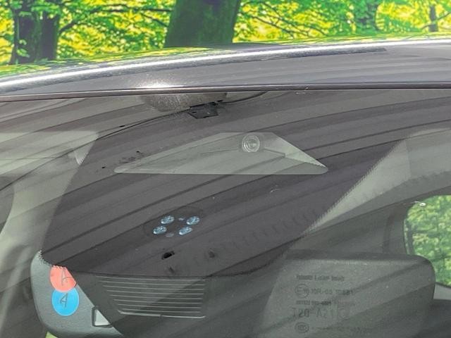 24974316_carP_l_10.jpg