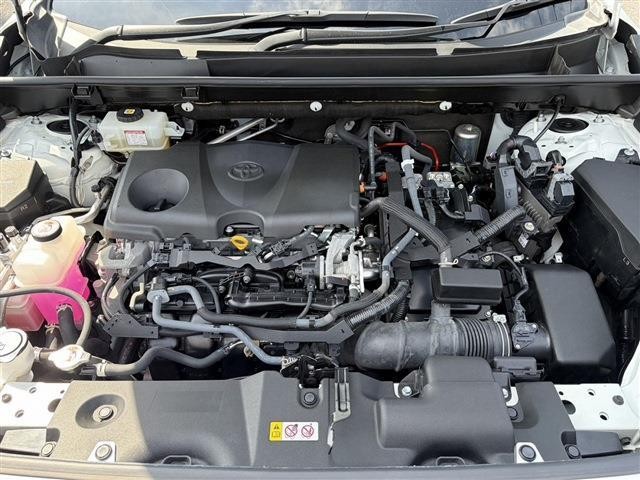 27057627_carP_l_20.jpg