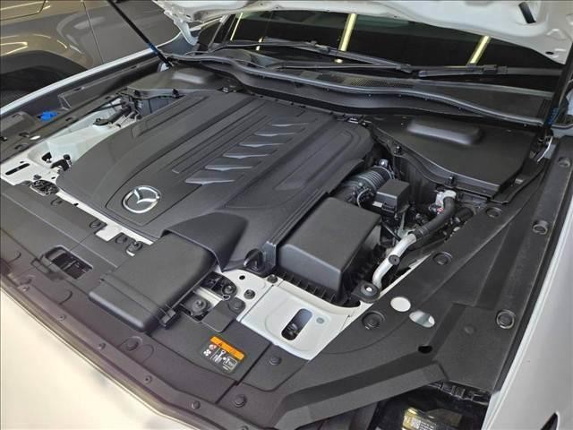 25729050_carP_l_8.jpg
