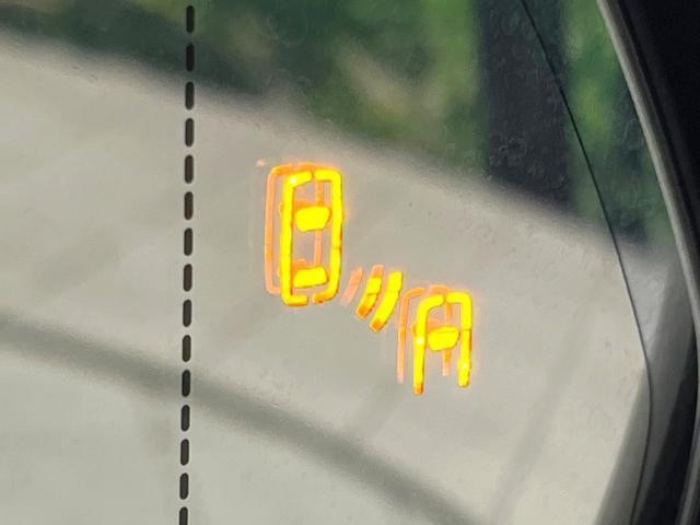 26816492_carP_l_10.jpg